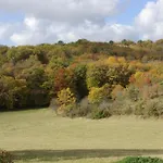 Pechalvet 3*